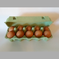 Zdjęcie produktu Opakowania na 10 jaj (zielone) 200 sztuk